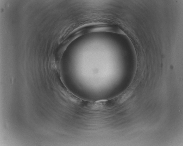 X0000075830384200609221646