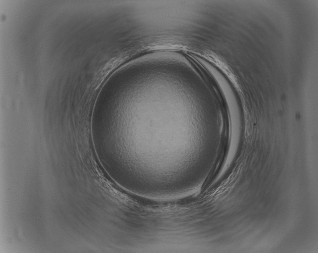 X0000075830385200609221645