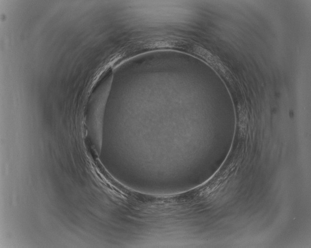 X0000075830386200609221645