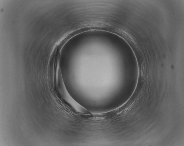 X0000075830388200609221645