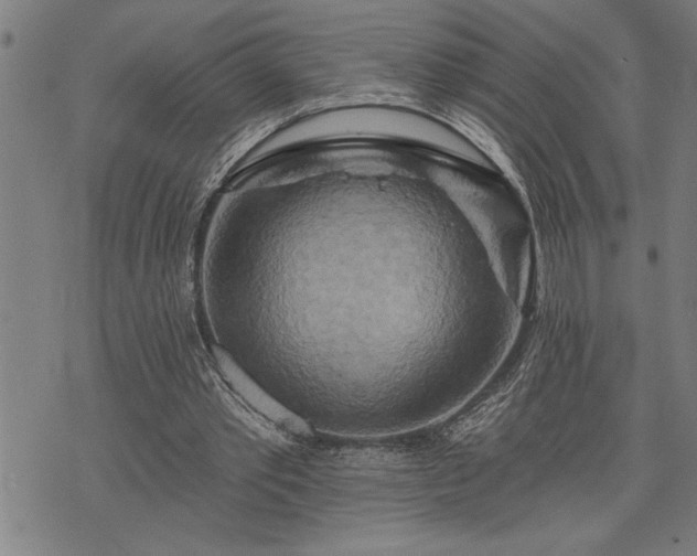 X0000075830389200609221645