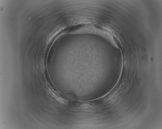 X0000075830390200609221645