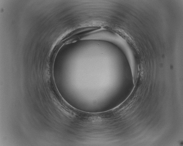 X0000075830392200609221645