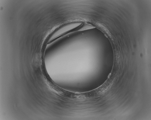 X0000075830395200609221645