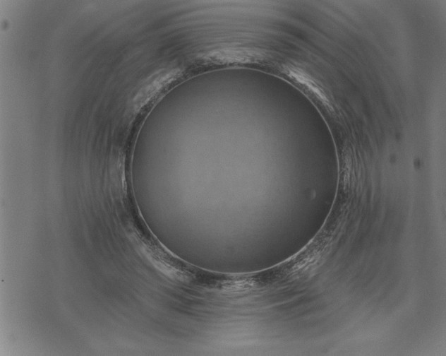 X0000075830398200609221645