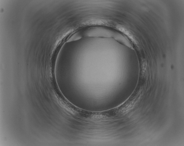 X0000075830399200609221645