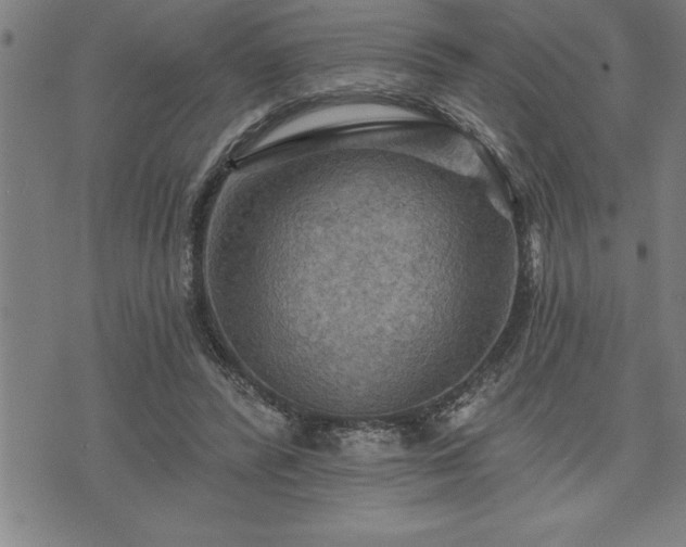 X0000075830400200609221645