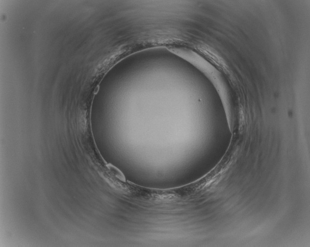 X0000075830401200609221645