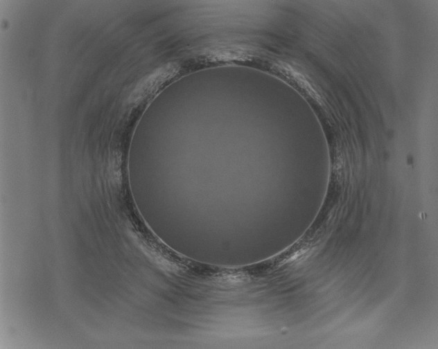 X0000075830402200609221645