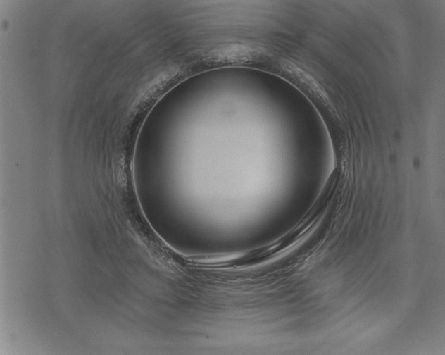 X0000075830403200609221645