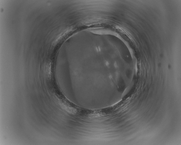 X0000075830404200609221645