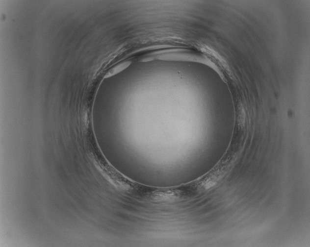 X0000075830405200609221645