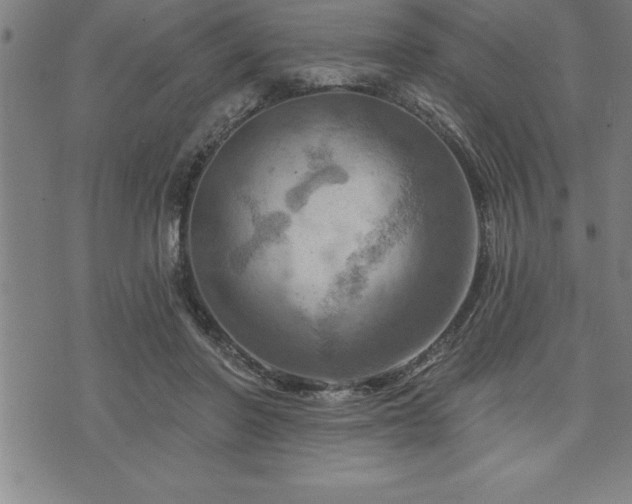 X0000075830406200609221645