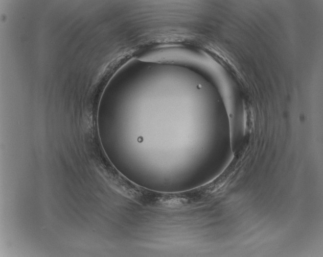 X0000075830407200609221645