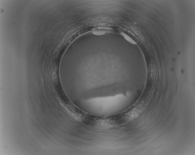 X0000075830408200609221645