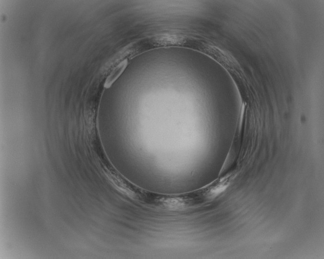 X0000075830409200609221645