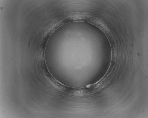 X0000075830411200609221645