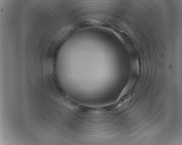 X0000075830412200609221645