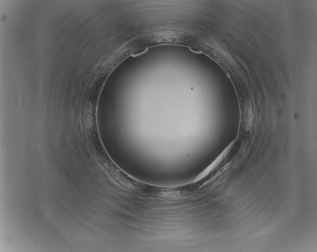 X0000075830413200609221645