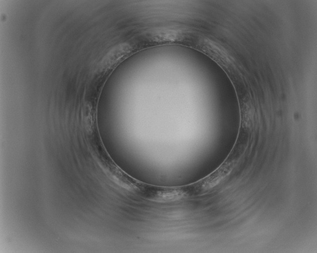 X0000075830414200609221645