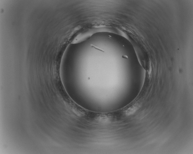 X0000075830416200609221645