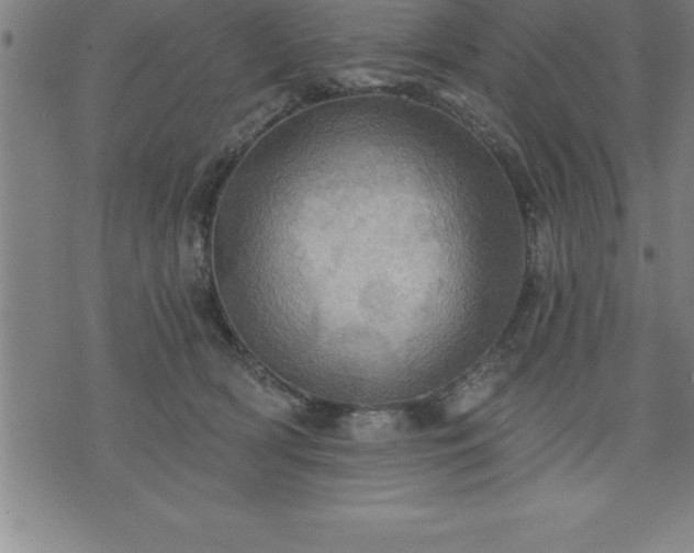 X0000075830418200609221645