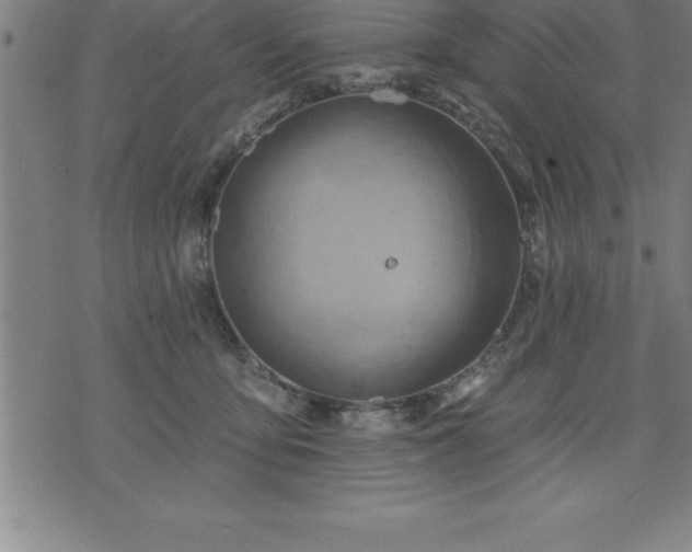 X0000075830419200609221645