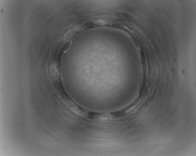 X0000075830420200609221645