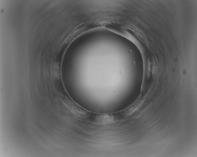 X0000075830421200609221645