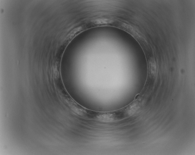 X0000075830422200609221645