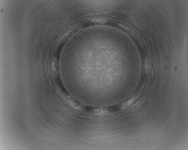 X0000075830424200609221645