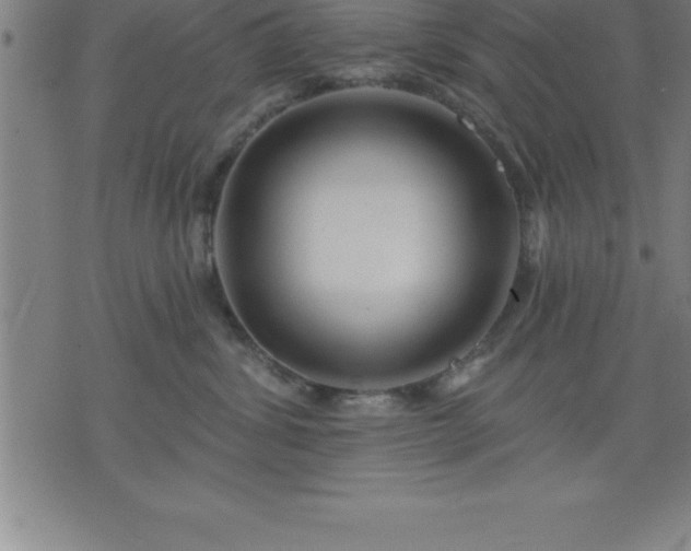 X0000075830428200609221644