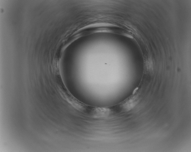 X0000075830429200609221644