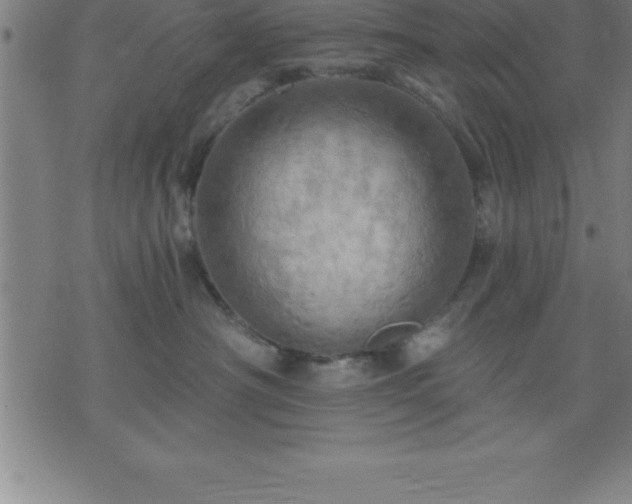 X0000075830430200609221644