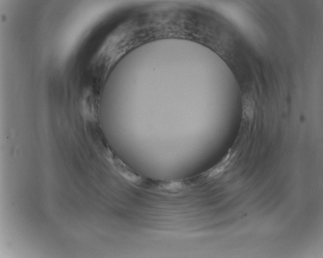 X0000075830431200609221644