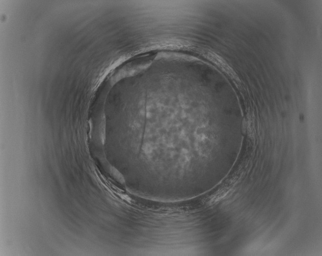 X0000075830434200609221644