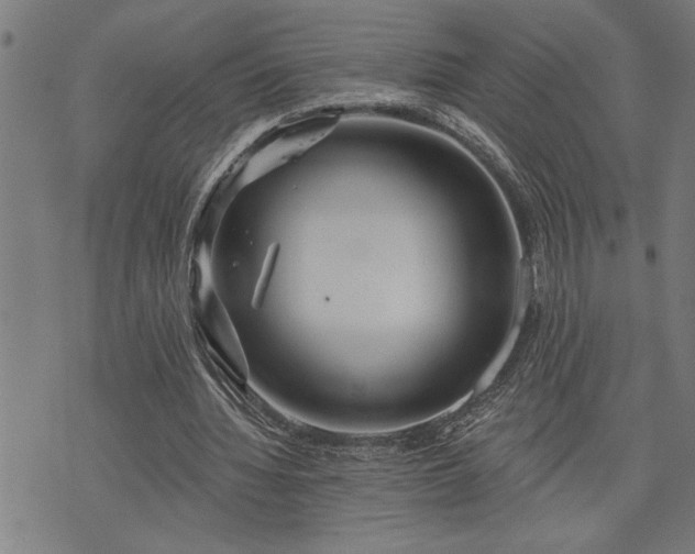 X0000075830436200609221644