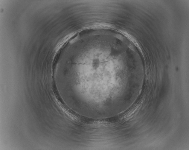 X0000075830437200609221644