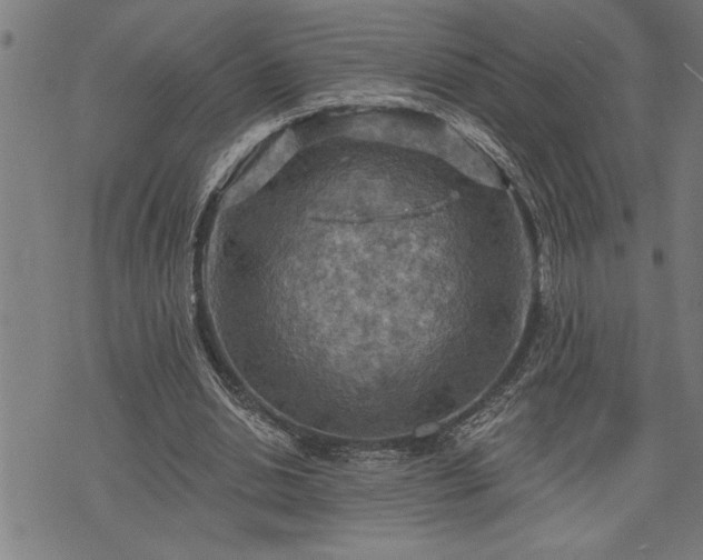 X0000075830438200609221644