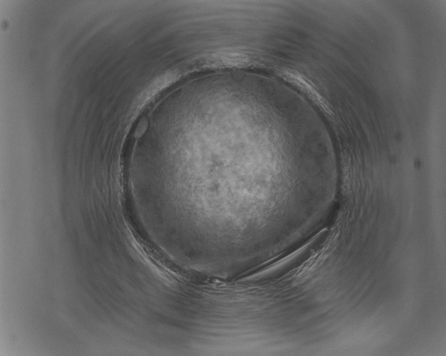 X0000075830439200609221644