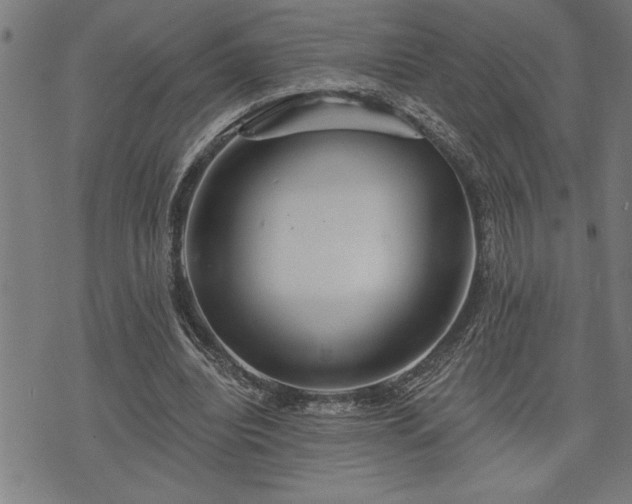 X0000075830440200609221644