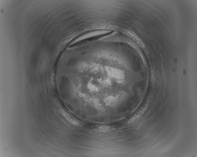 X0000075830441200609221644