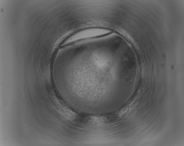 X0000075830442200609221644