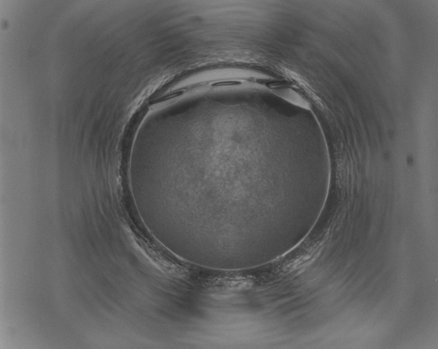 X0000075830443200609221644