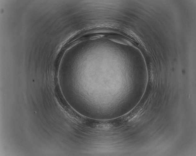 X0000075830444200609221644