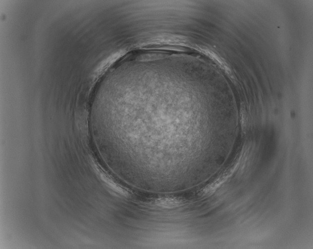 X0000075830445200609221644