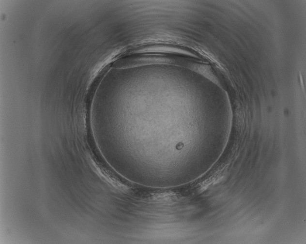 X0000075830446200609221644