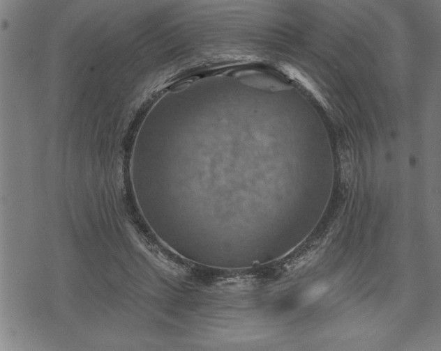 X0000075830447200609221644