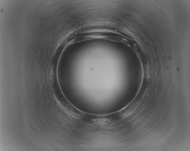 X0000075830448200609221644