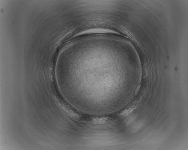 X0000075830450200609221644